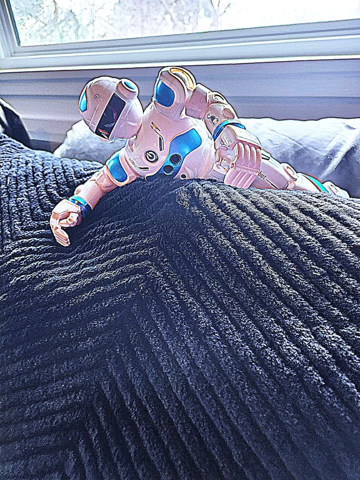 Howie SHOG's team created soft snuggly comforter with natural silky organic sheets of bamboo or eucalyptus for the King Bed.