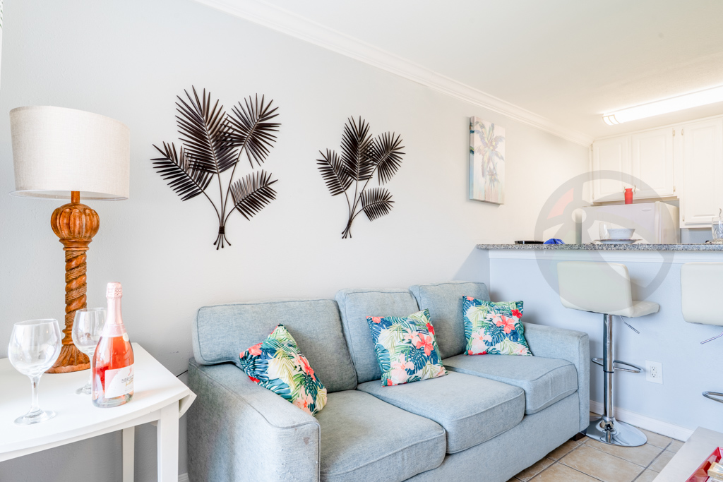 The living room has a sleeper sofa