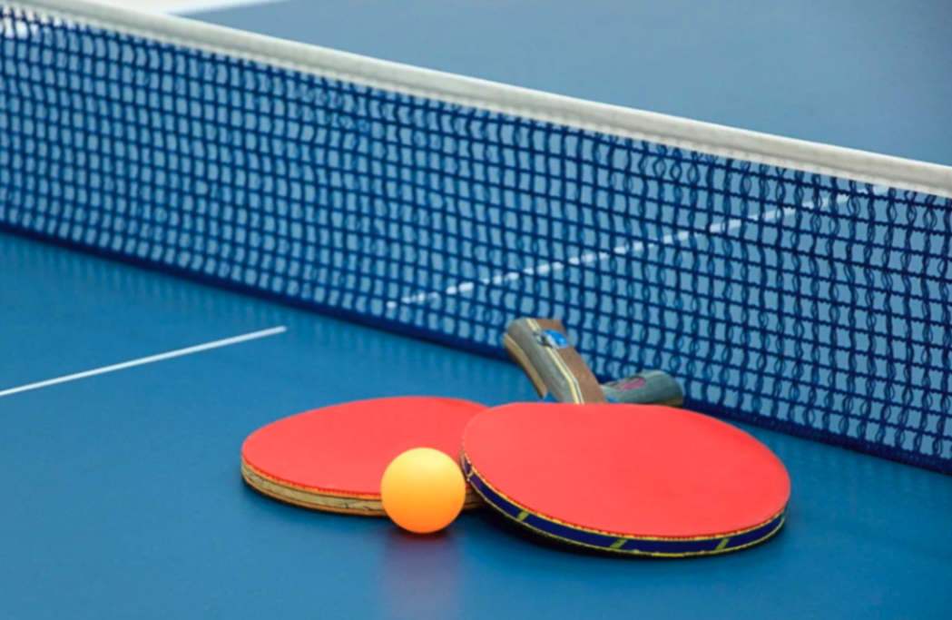Ping pong table for the entire family to enjoy