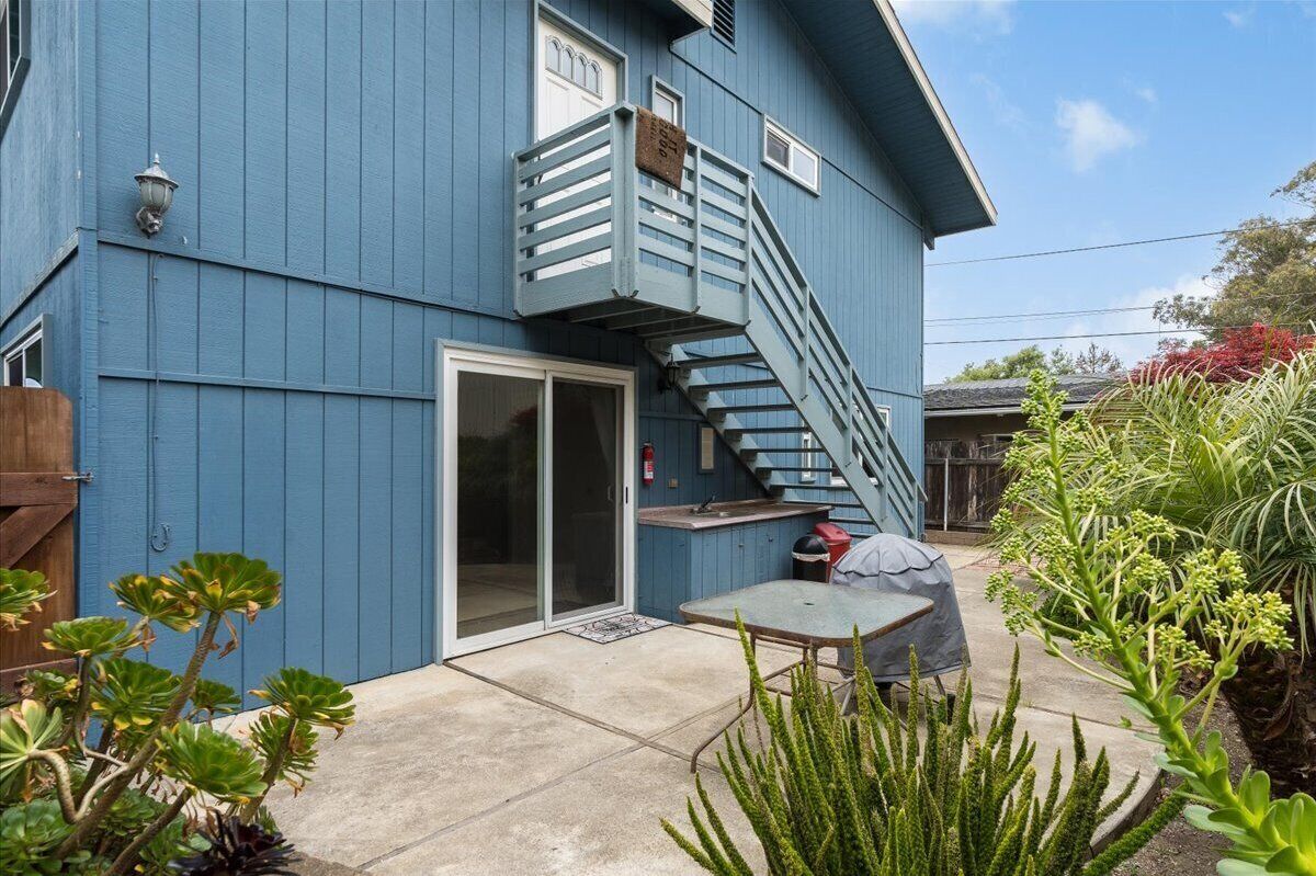 Back yard