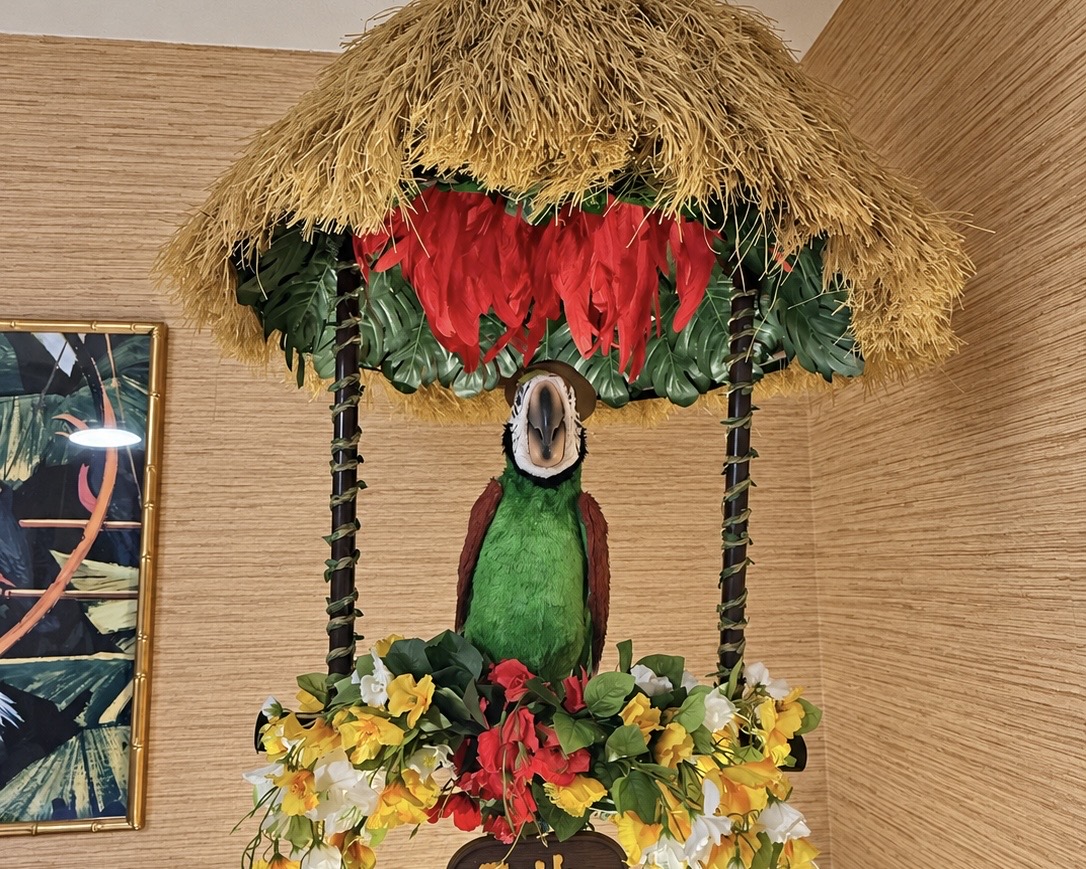 Where the birds sing words and the flowers croon—welcome to your tropical oasis.