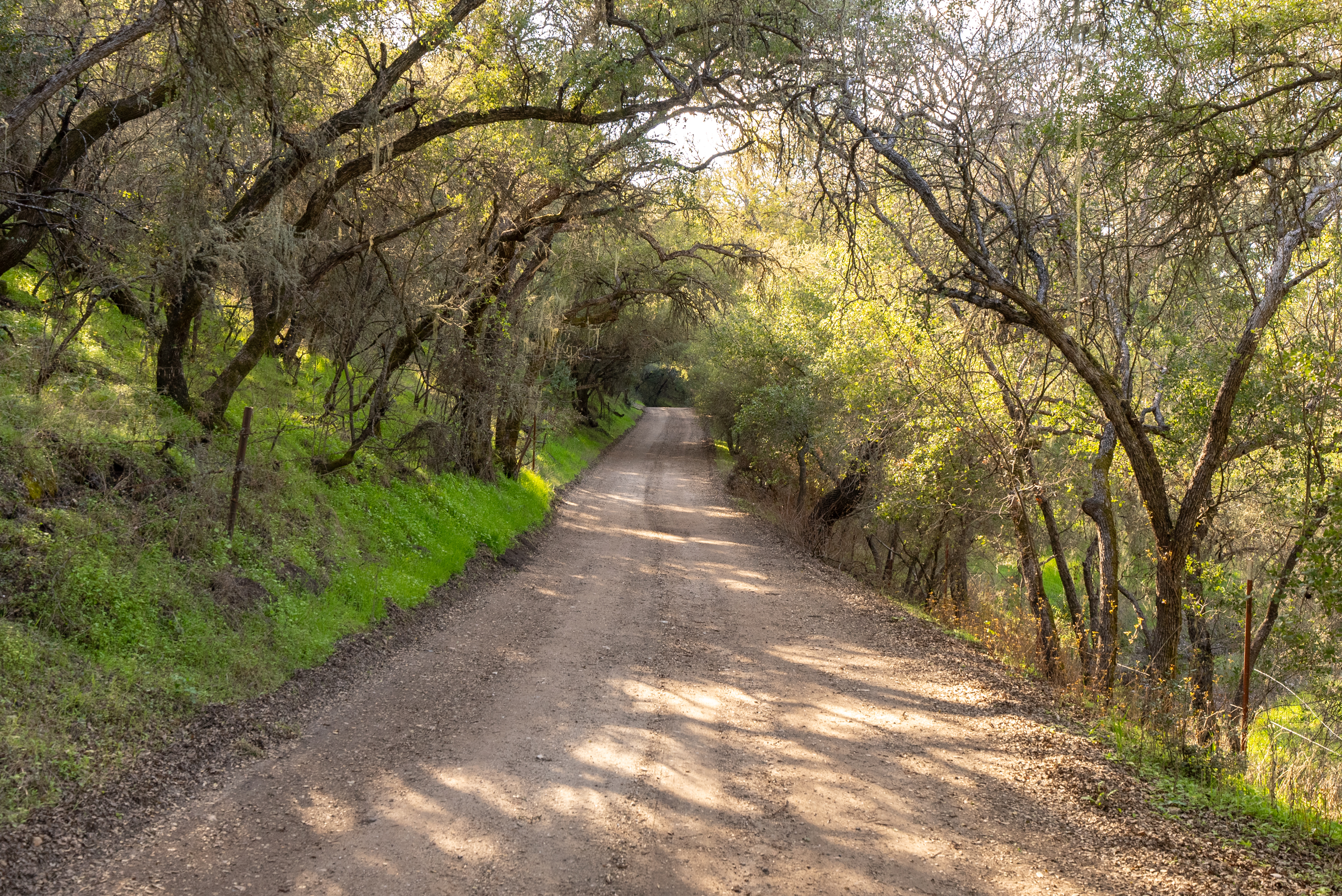 Your adventure begins on a quiet country lane.