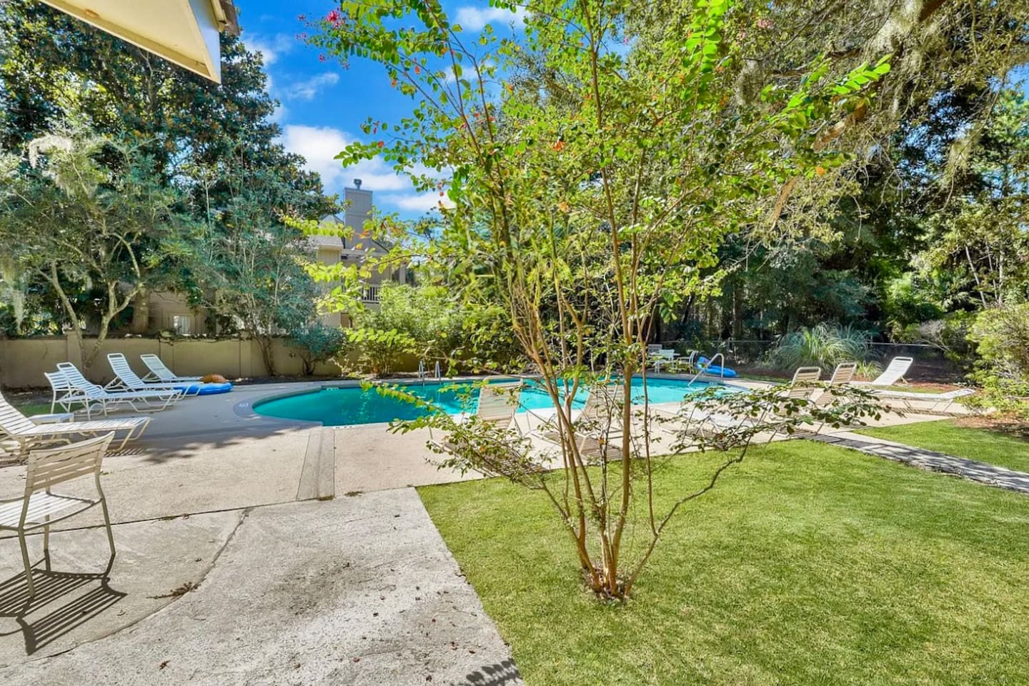 Pool and garden