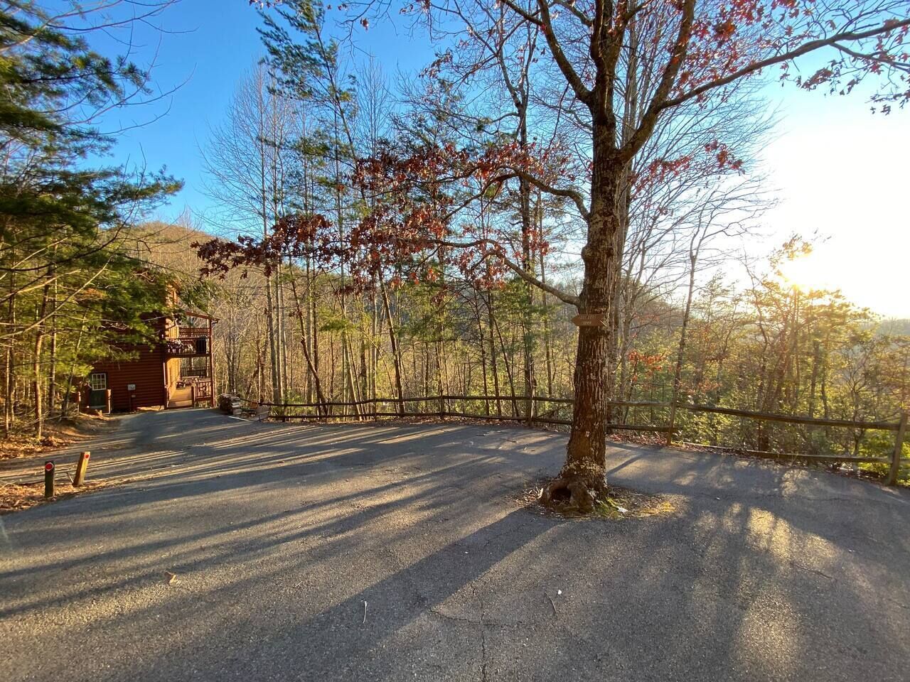 Cabin and parking area is to the left of the tree.