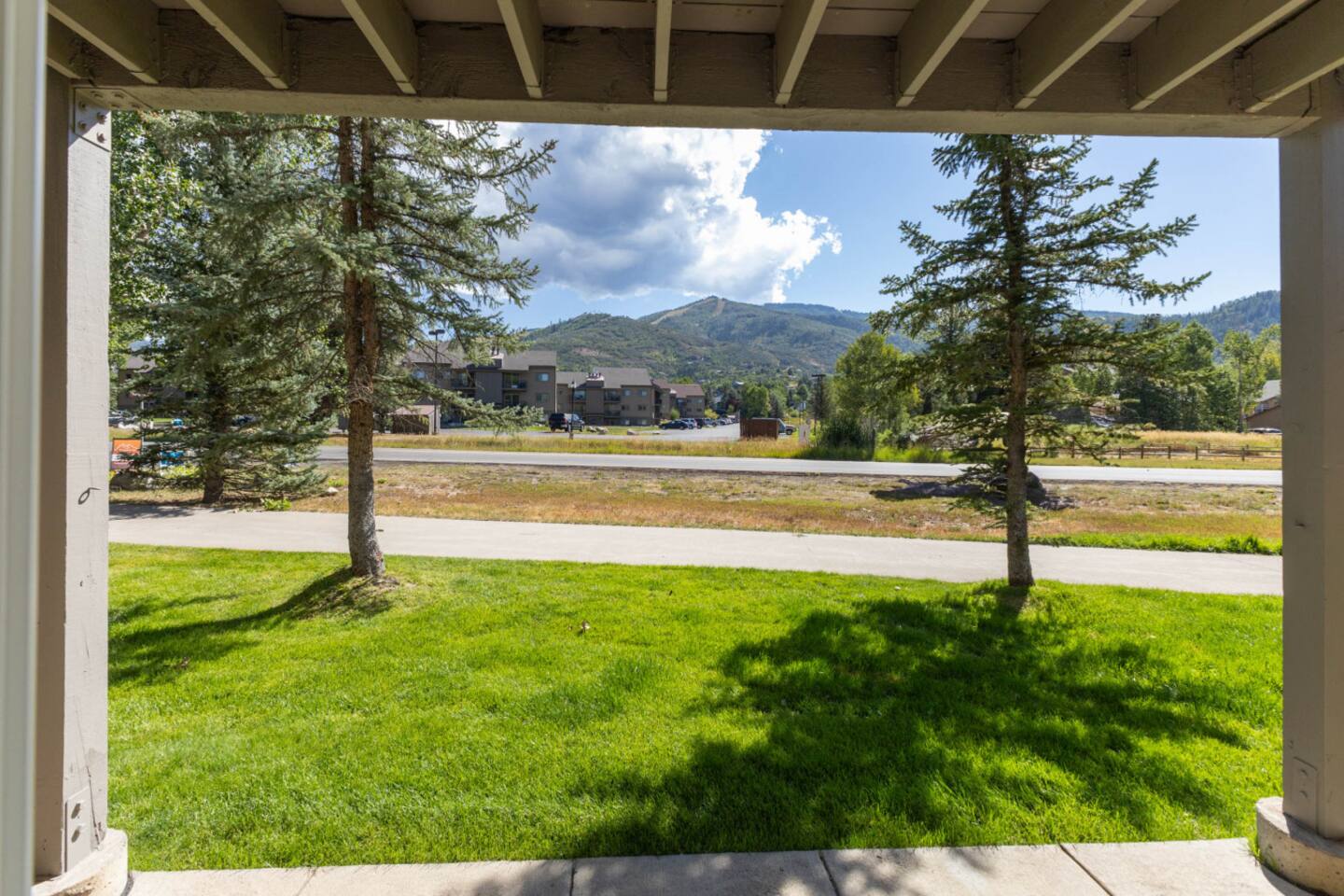 View from the Patio