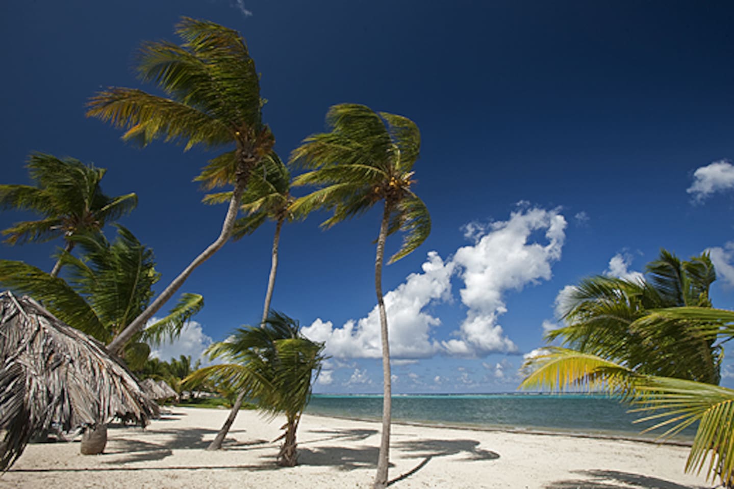 Beach (on-site0