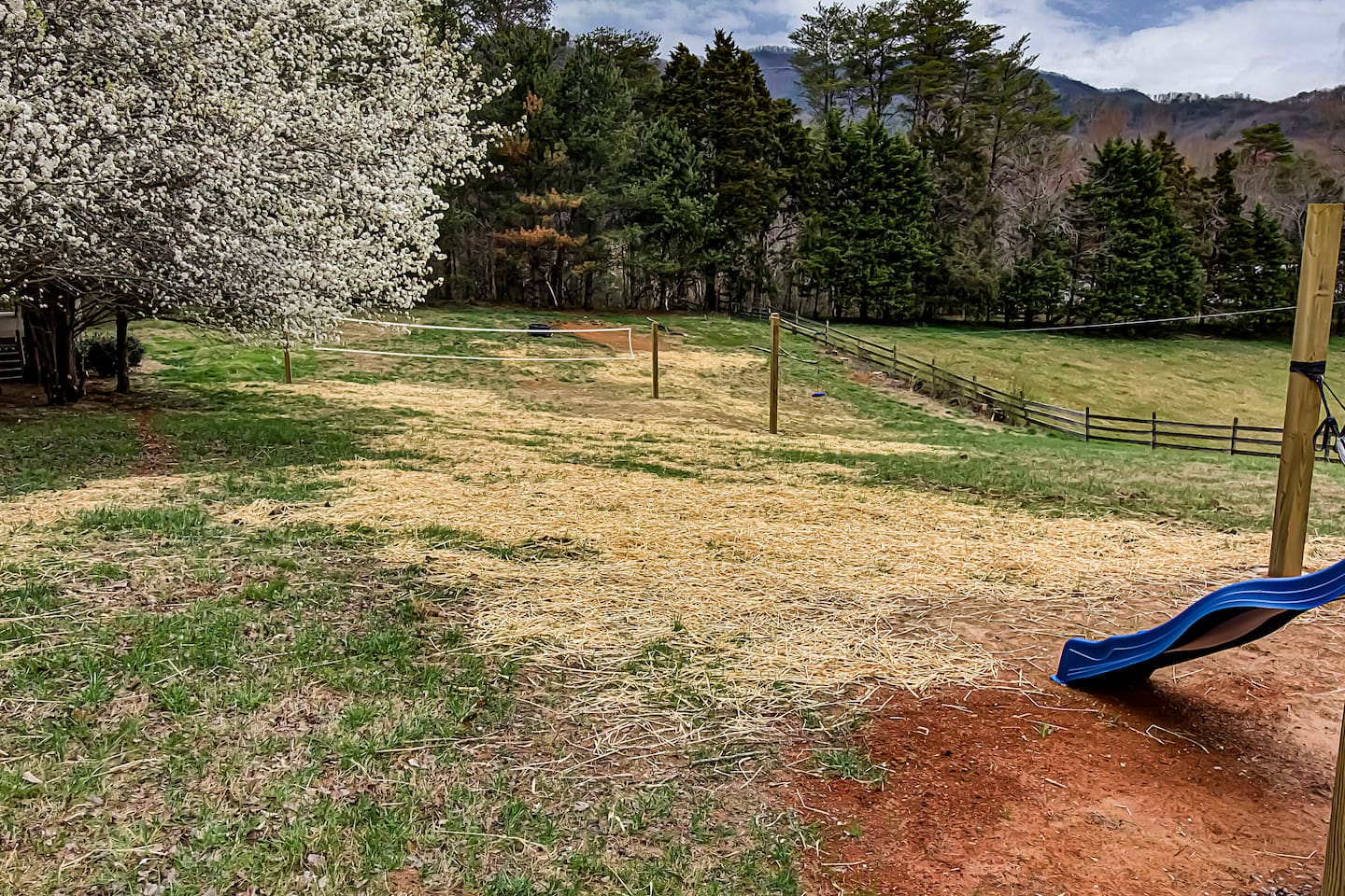 shared volley ball net