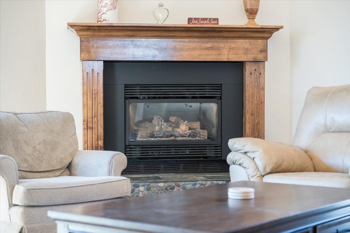 Gas fireplace