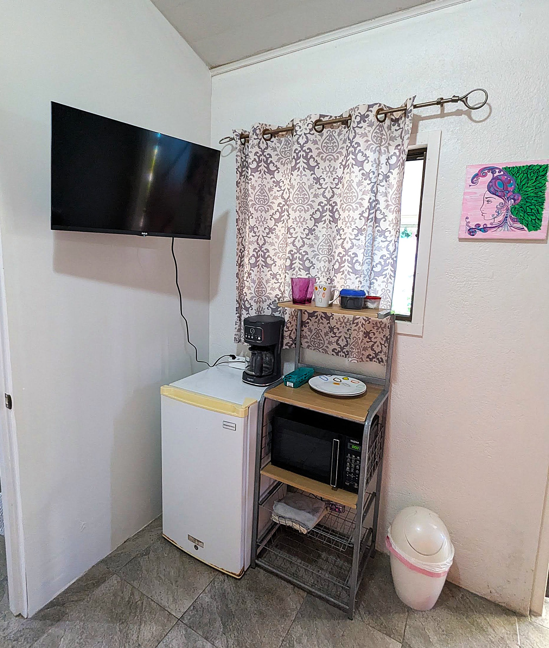 TV, mini fridge, and Microwave