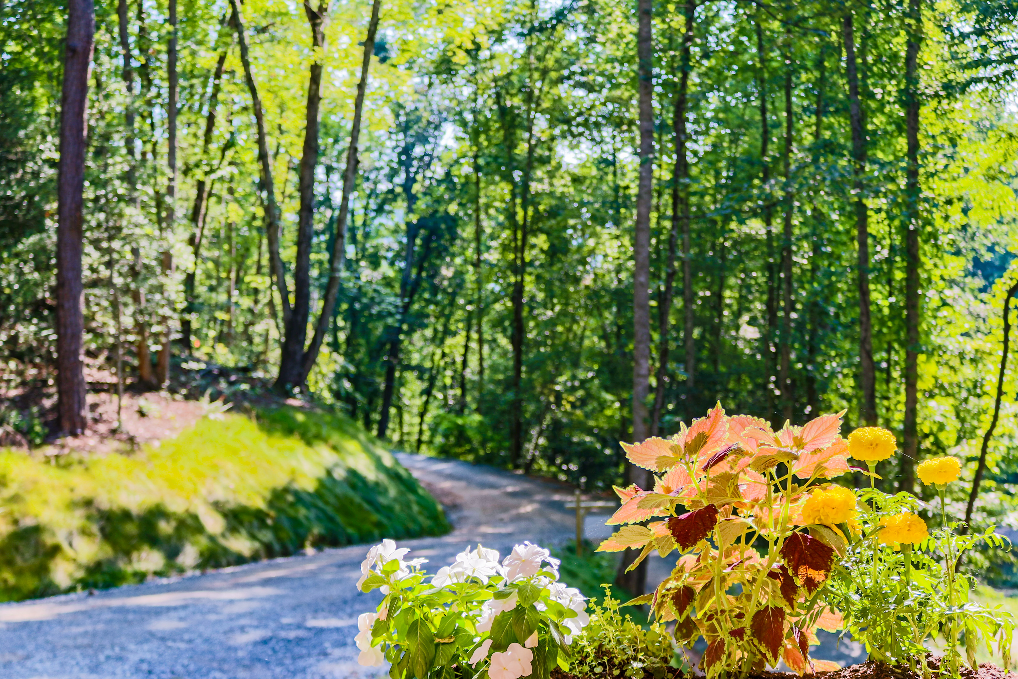 The peaceful woods surrounding the cabin will surely give you the rest and rejuvenation you deserve! 