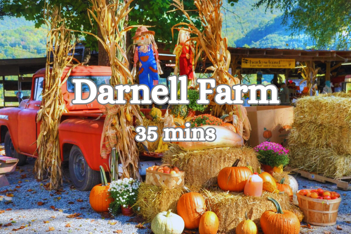 Local Attractions: Explore Darnell Farm's charming fall festivities just 35 minutes away!