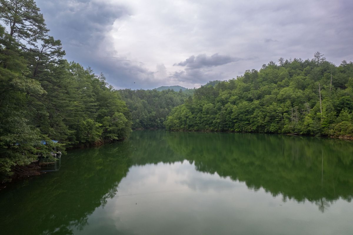 Scenic Retreat: Immerse yourself in nature with stunning lake views and lush greenery!

