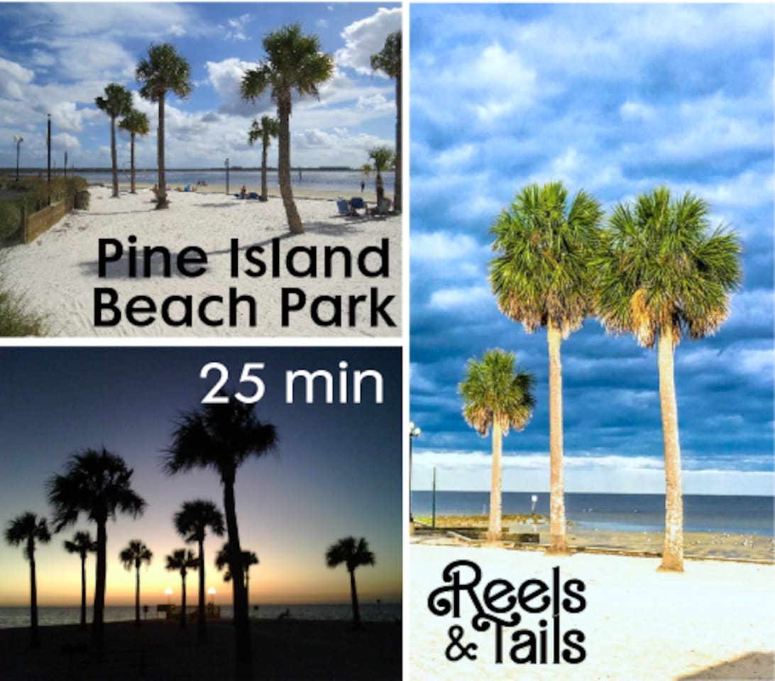 Pine Island Beach Park is a 25 min drive from Sun & Games. Spend a carefree afternoon swimming, playing, and picnicking on this 3-acre beach.
