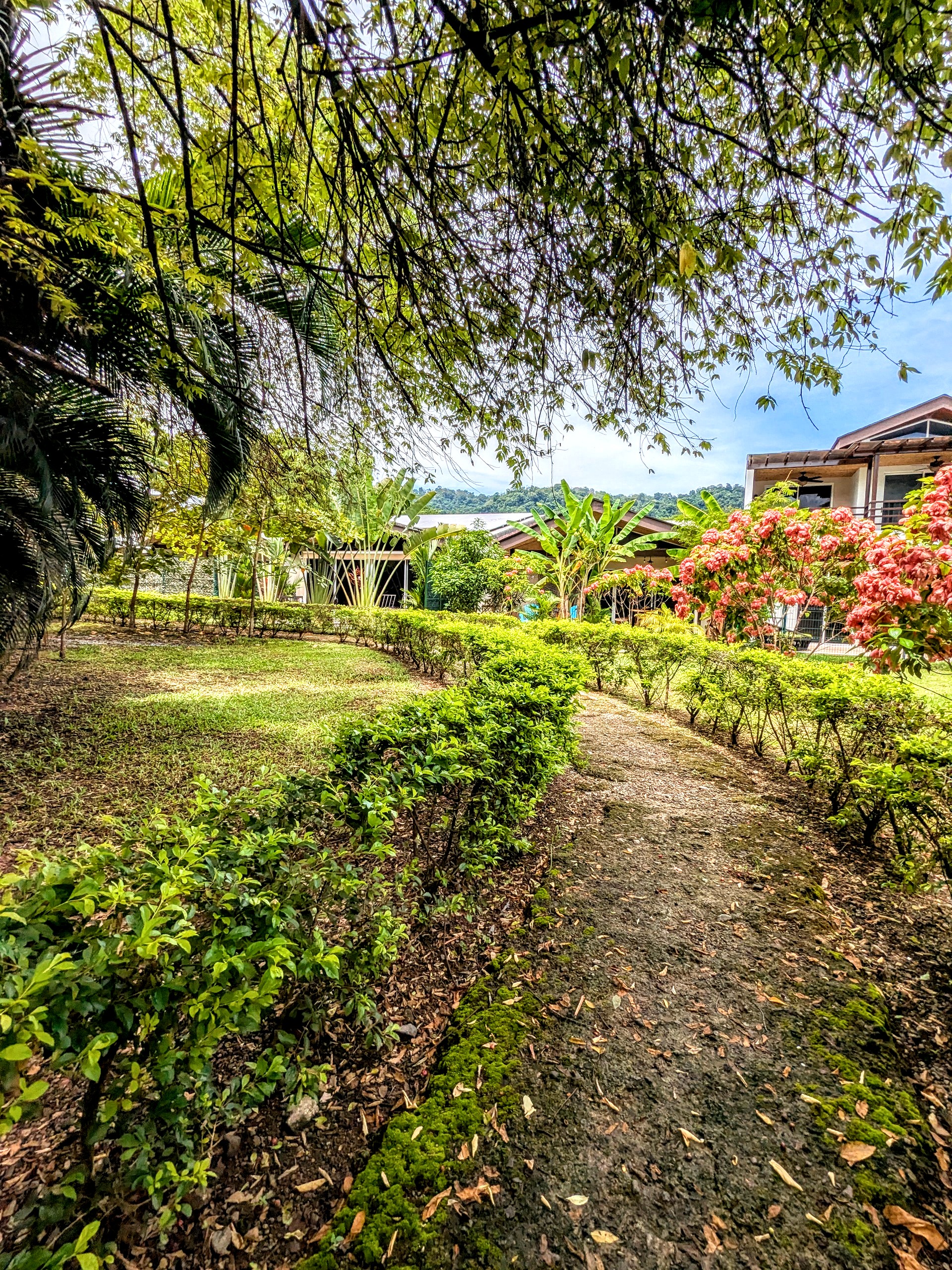 Walking paths through the community