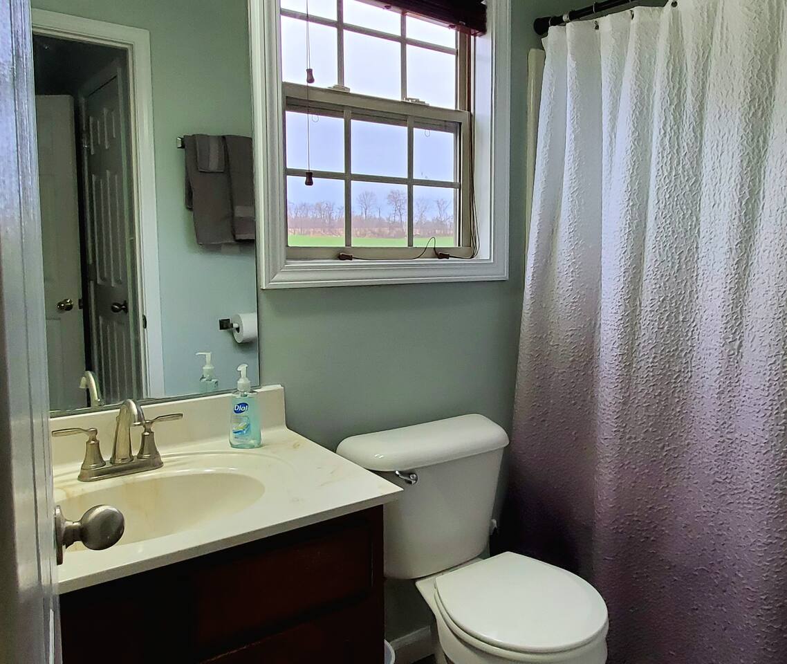 Private Master Bathroom located downstairs. Full walk-in closet and all available amenities included. We've got towels, hygiene products and much much more.