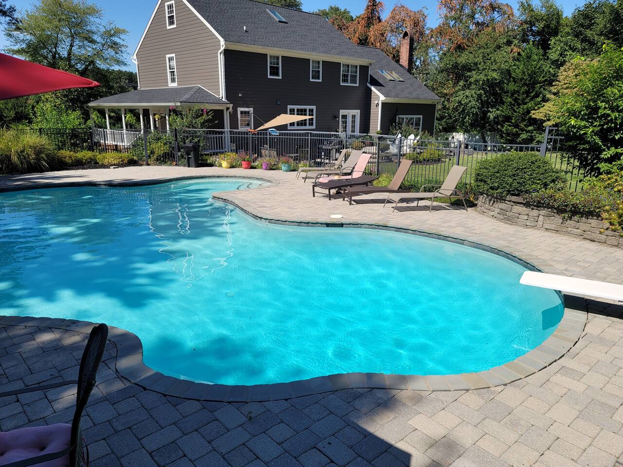 Pool from back side looking towards the house