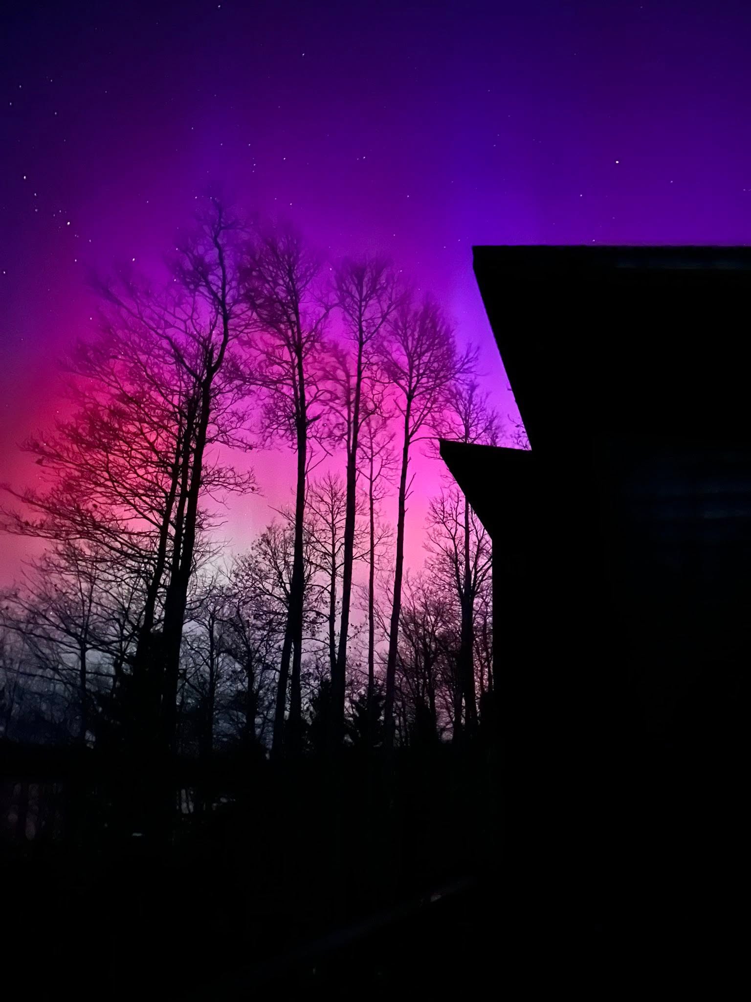 From the Deck