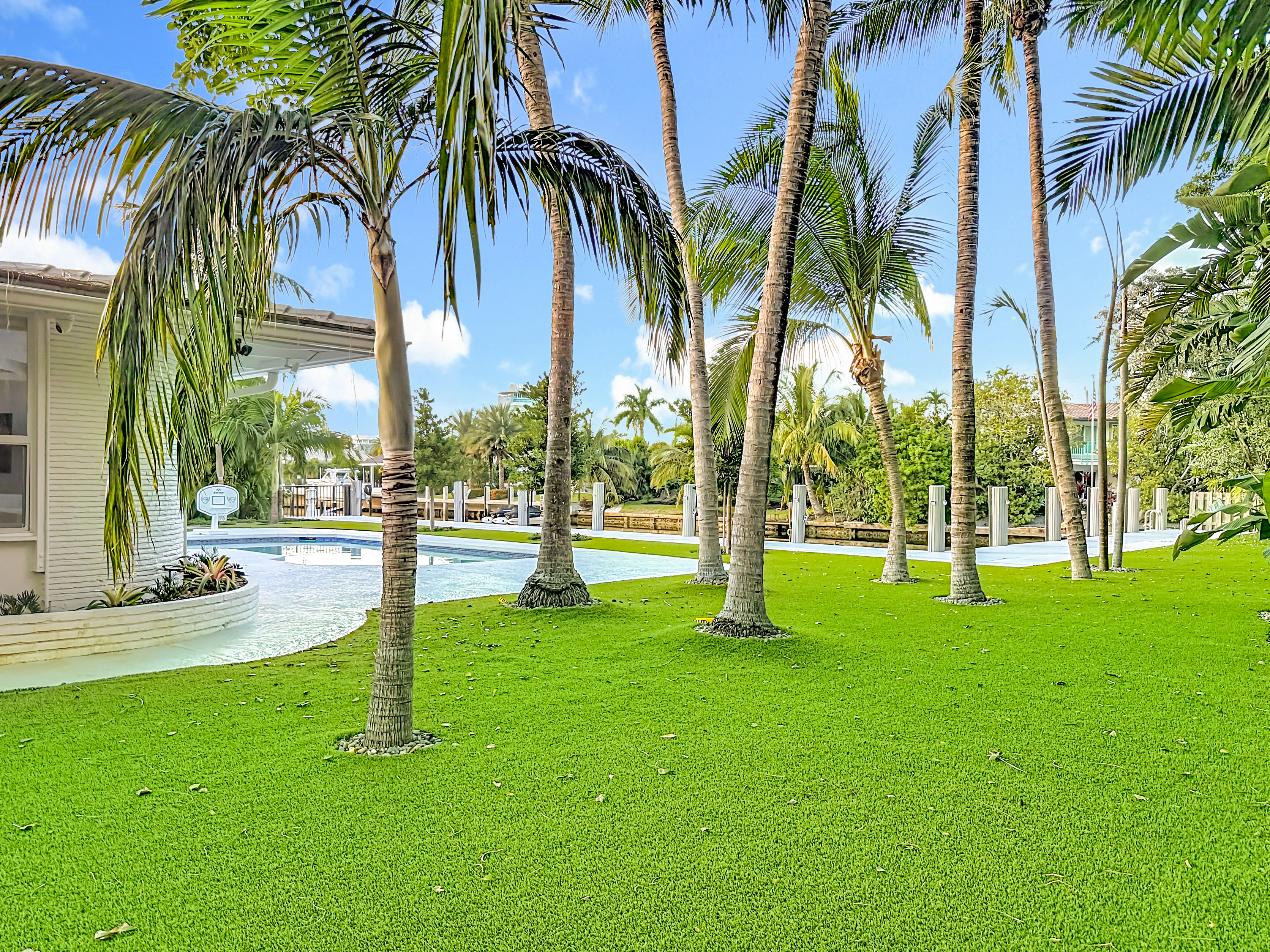 The palm and tropic landscape give it a great vibe. 