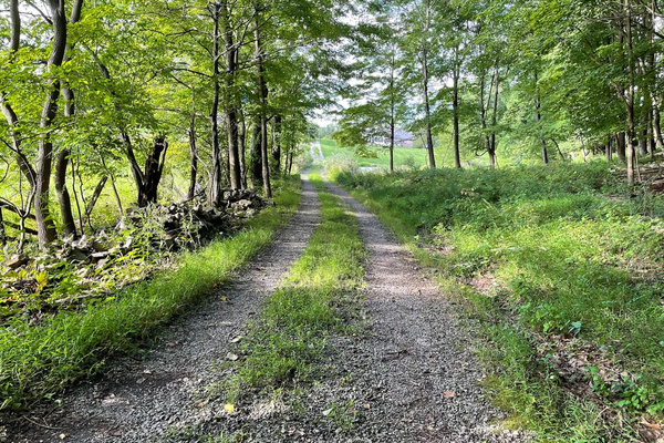 Private nature walk