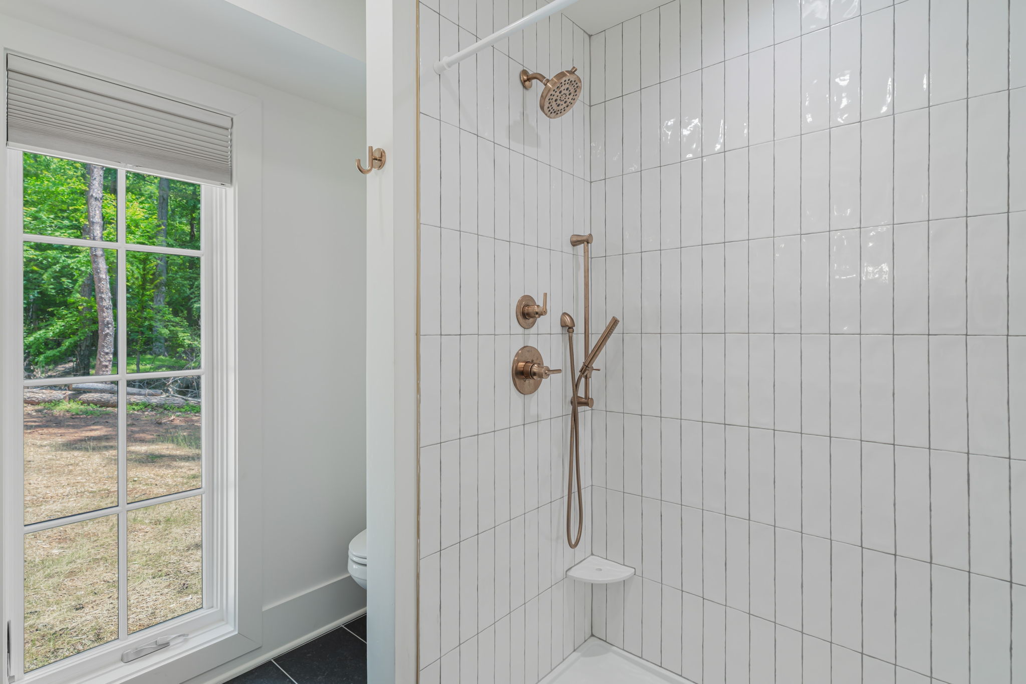 Downstairs Bathroom Shower