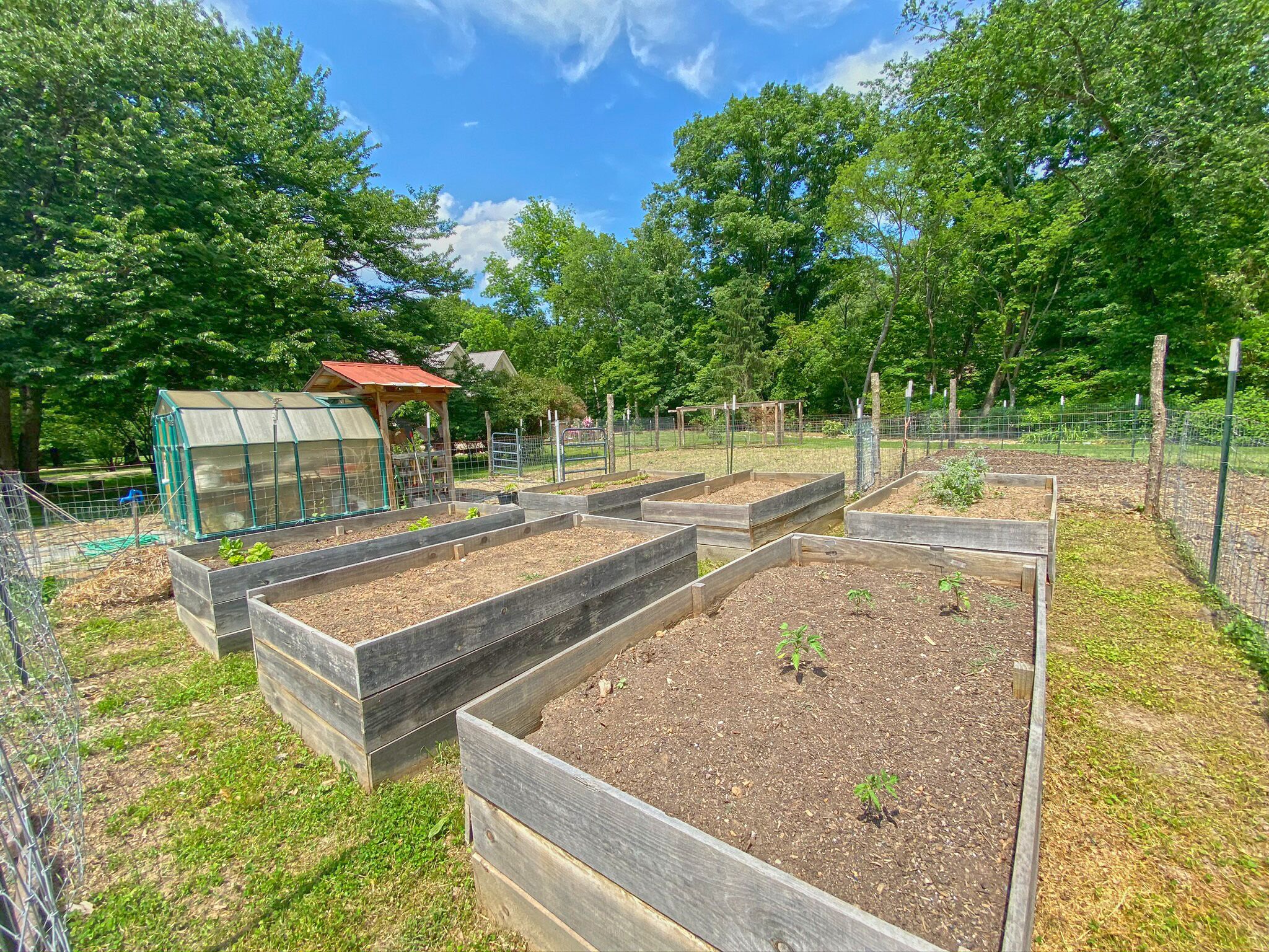 Raised bed gardens often have food growing for guest to enjoy