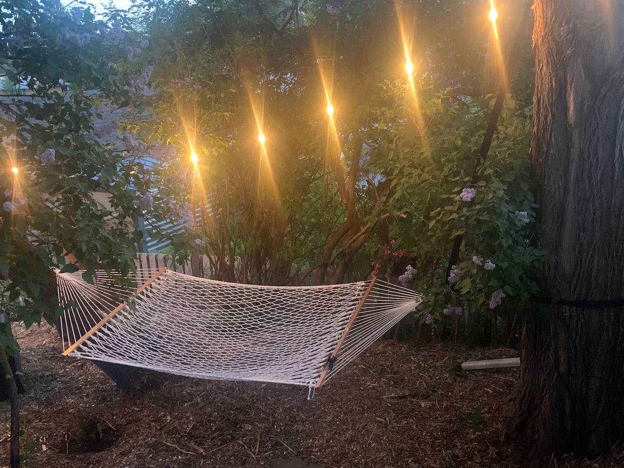 Backyard String Lights for Relaxed Evenings Outdoors