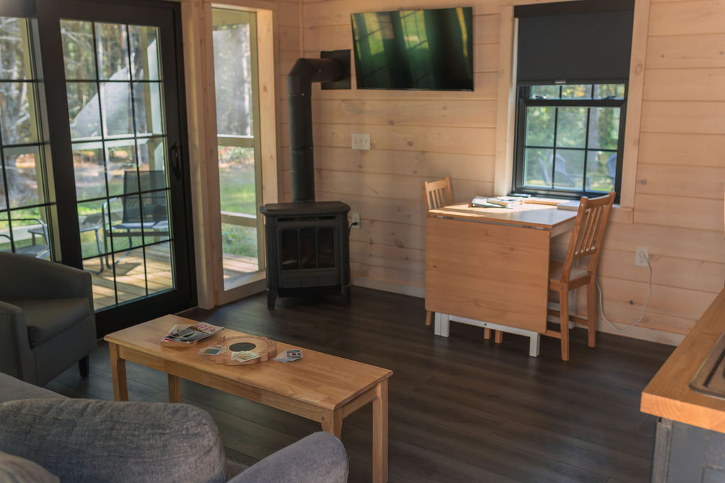 Propane- flame- Fireplace in living room