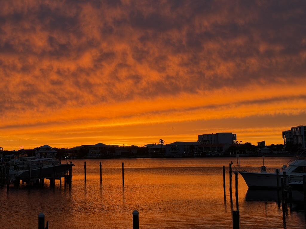 Louisiana Lagniappe - View from the porch. Amazing Sunsets!