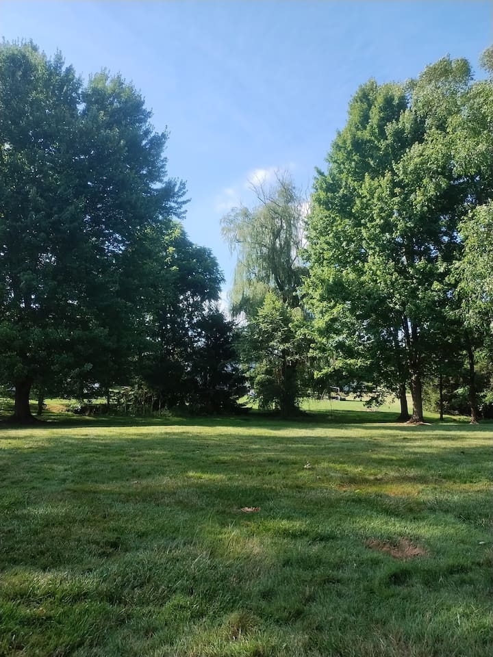 View into the backyard from the deck.