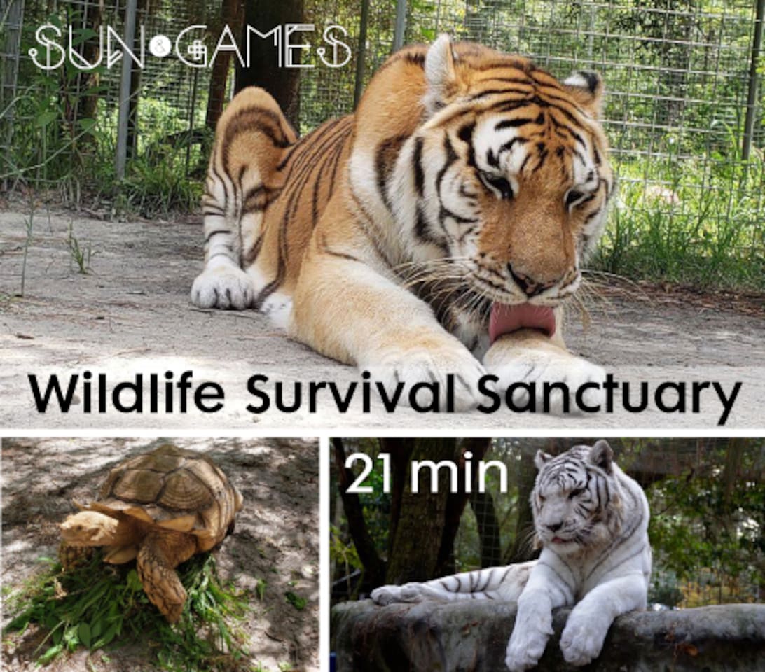 Wildlife Survival Sanctuary 21 minute drive. Learn about rescued animals, such as primates, big cats, and reptiles, and participate in educational programs.