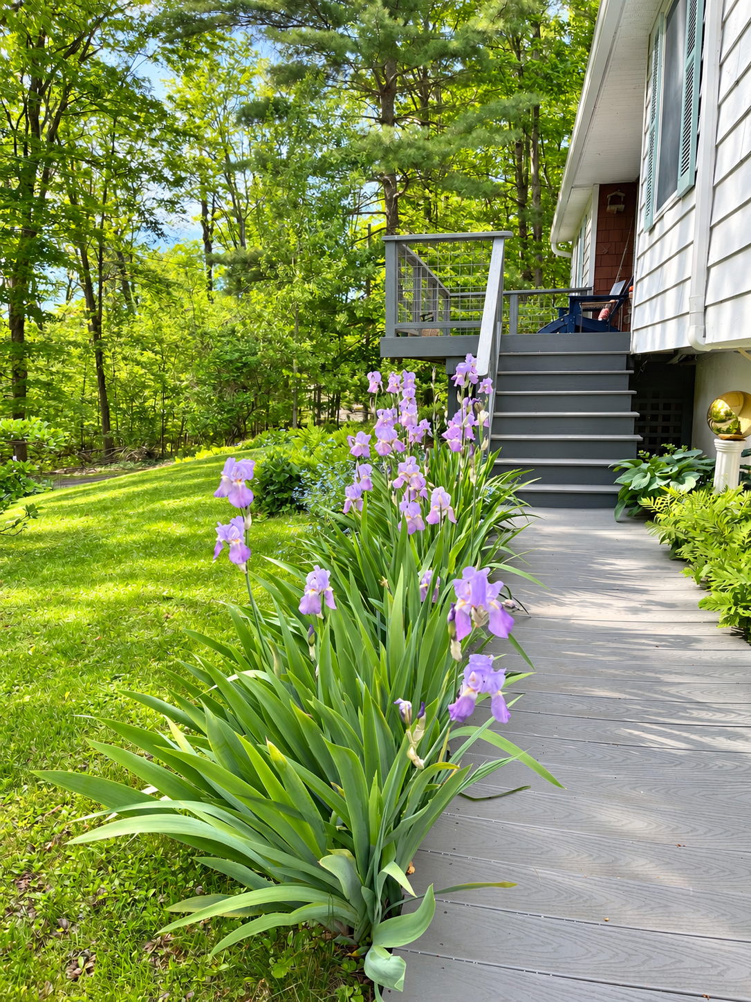 Garden path to the front steps.