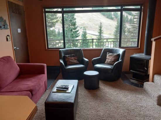 Livingroom area.