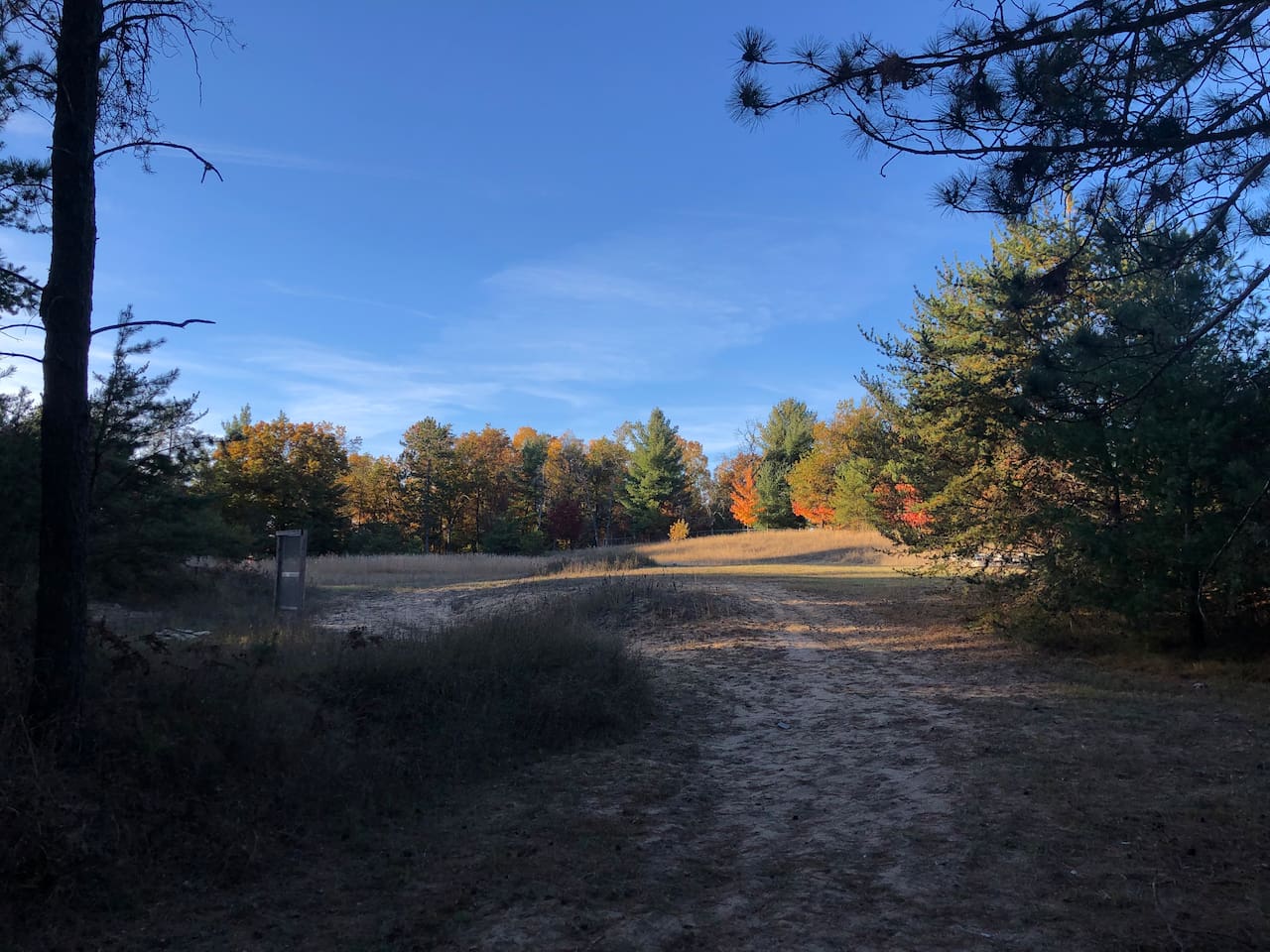 A look to the North West. Our property line is obvious with tall grass lining it. Plenty of deer and wildlife to enjoy.