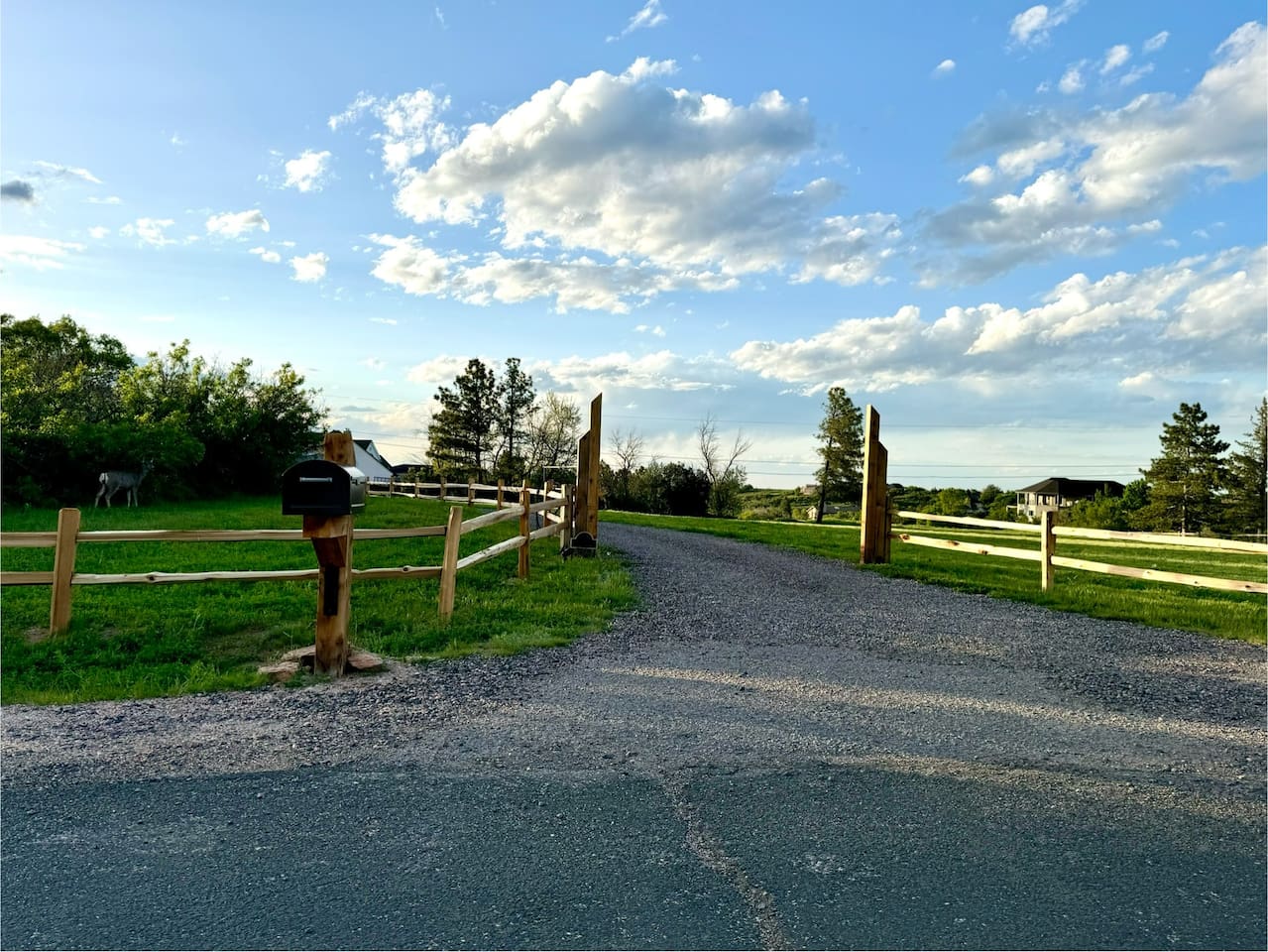 Look for the black mailbox and wooden split rail fence for the entrance to our property.  You may even spot a deer or two (by the trees on the far left).