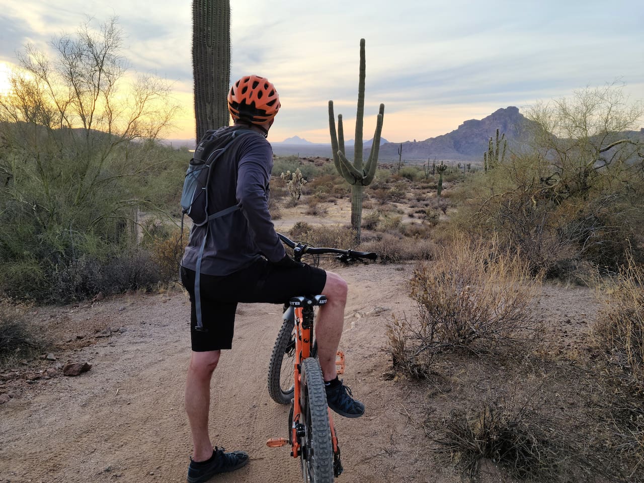 Tons of Mountain biking trails available locally, bring your bike or rent one from a local bike shop.