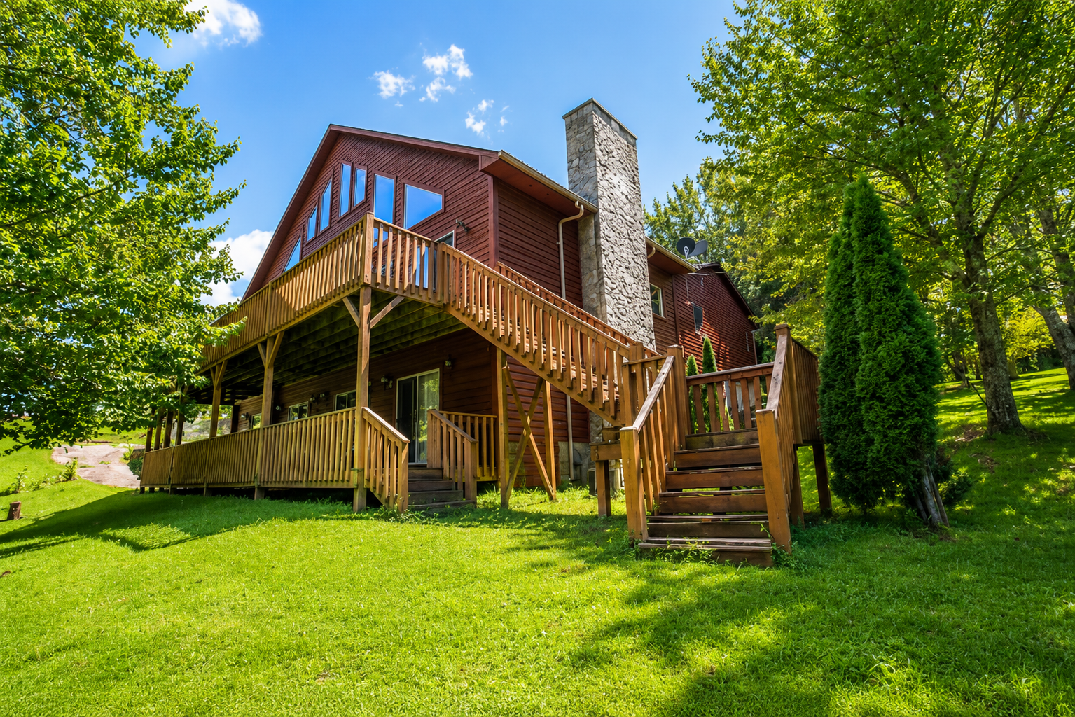 Back yard