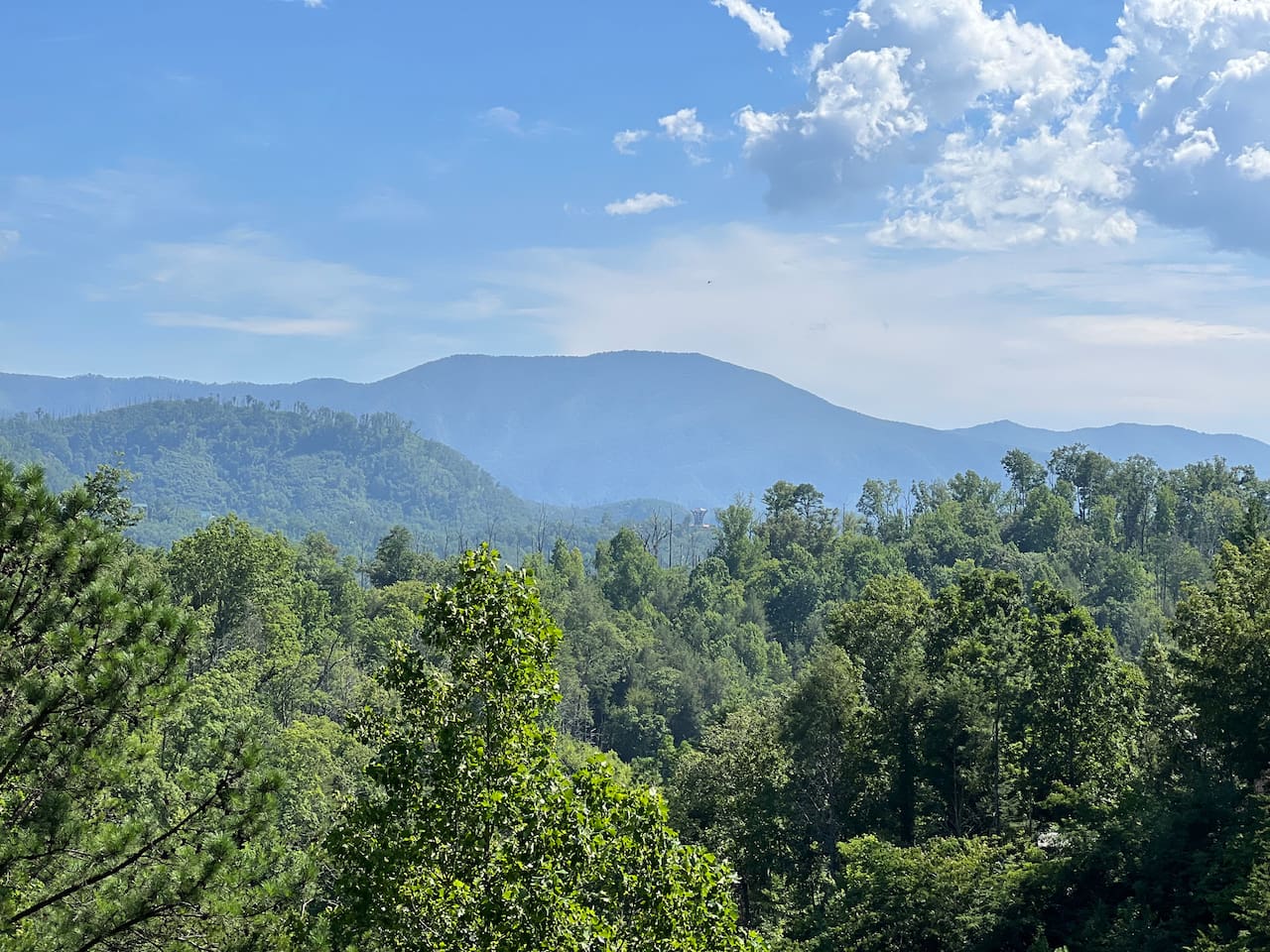 Settle in to this view and days of good times and mountain vibes! We can't wait to welcome you to Black Bear Bunkhouse.
