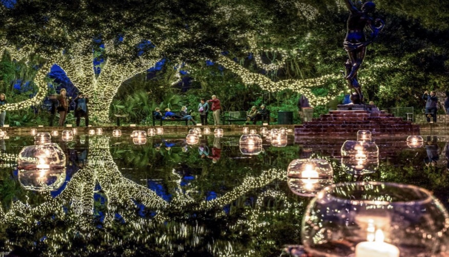 Make sure to get to Brook Green Gardens for their night of 1000 lights event.