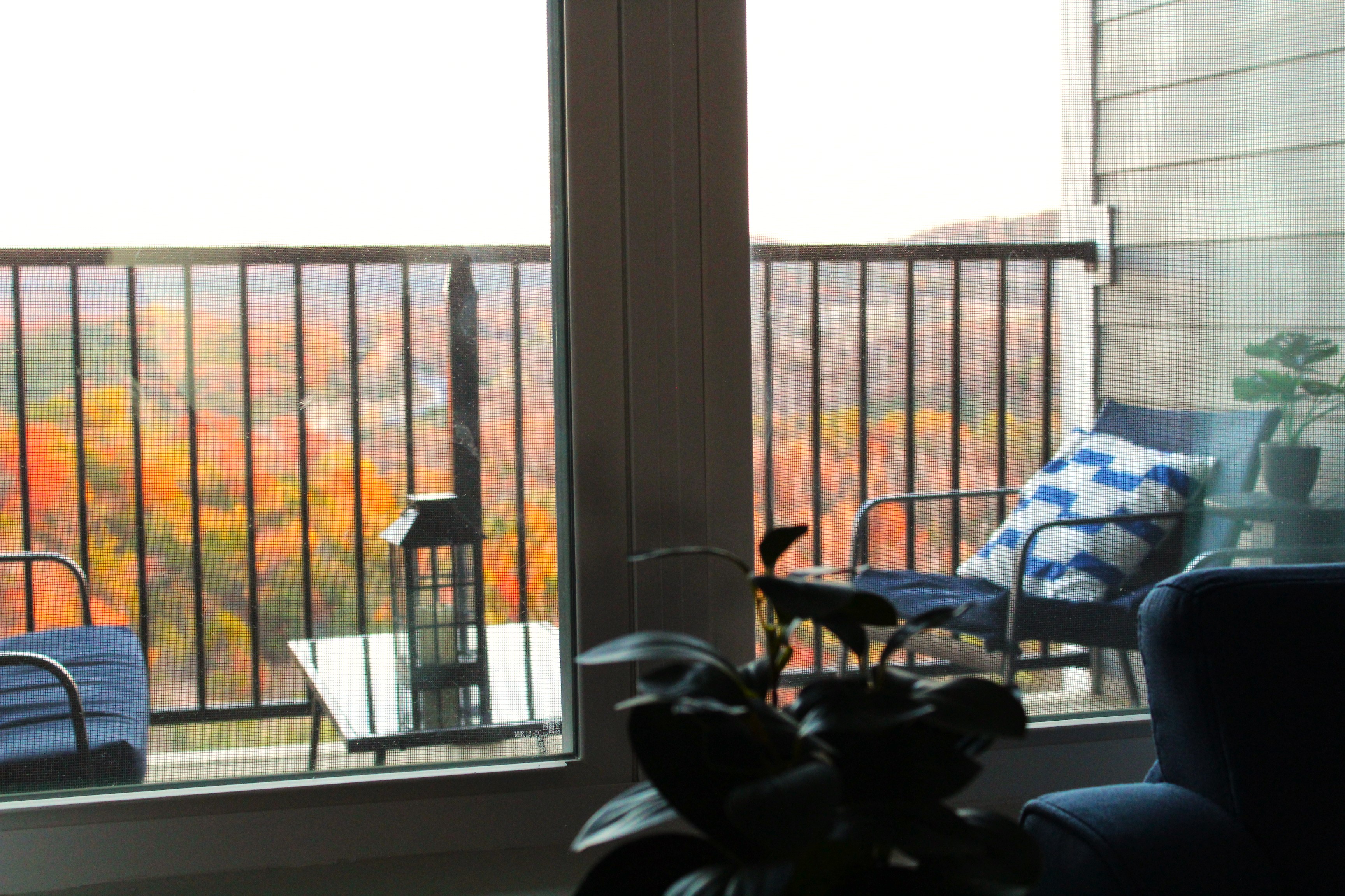 Soak in a stunning panorama of vibrant autumn color cascading across the mountains from your private balcony.