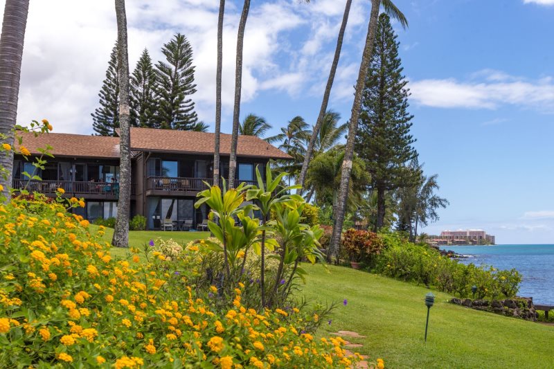 Hale Honu @ Mahina Surf