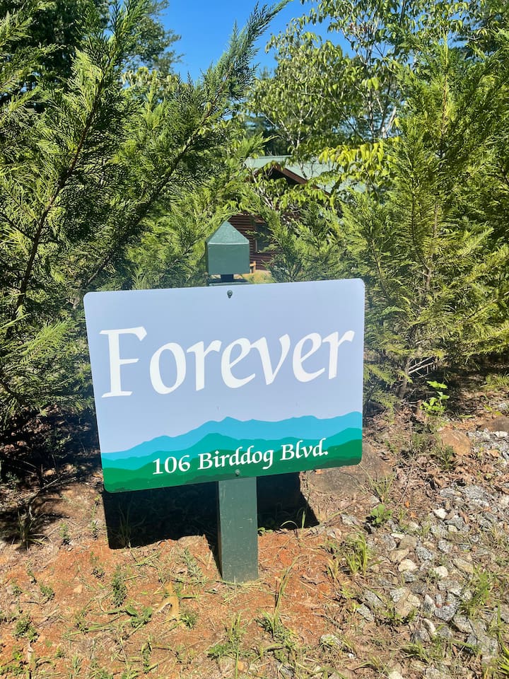 Welcome to the Forever Home Cabin