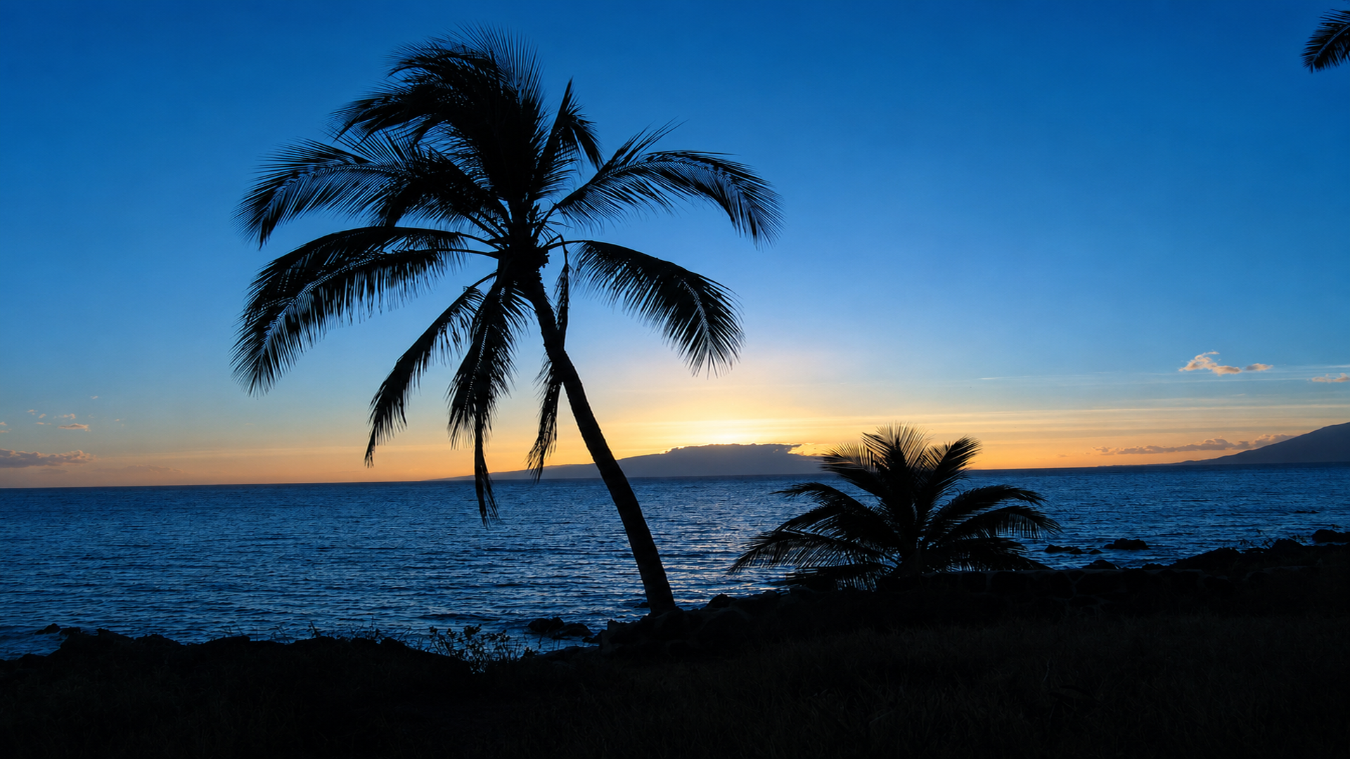 The sunsets make a spectacular back drop to the many palm trees in Kihei.