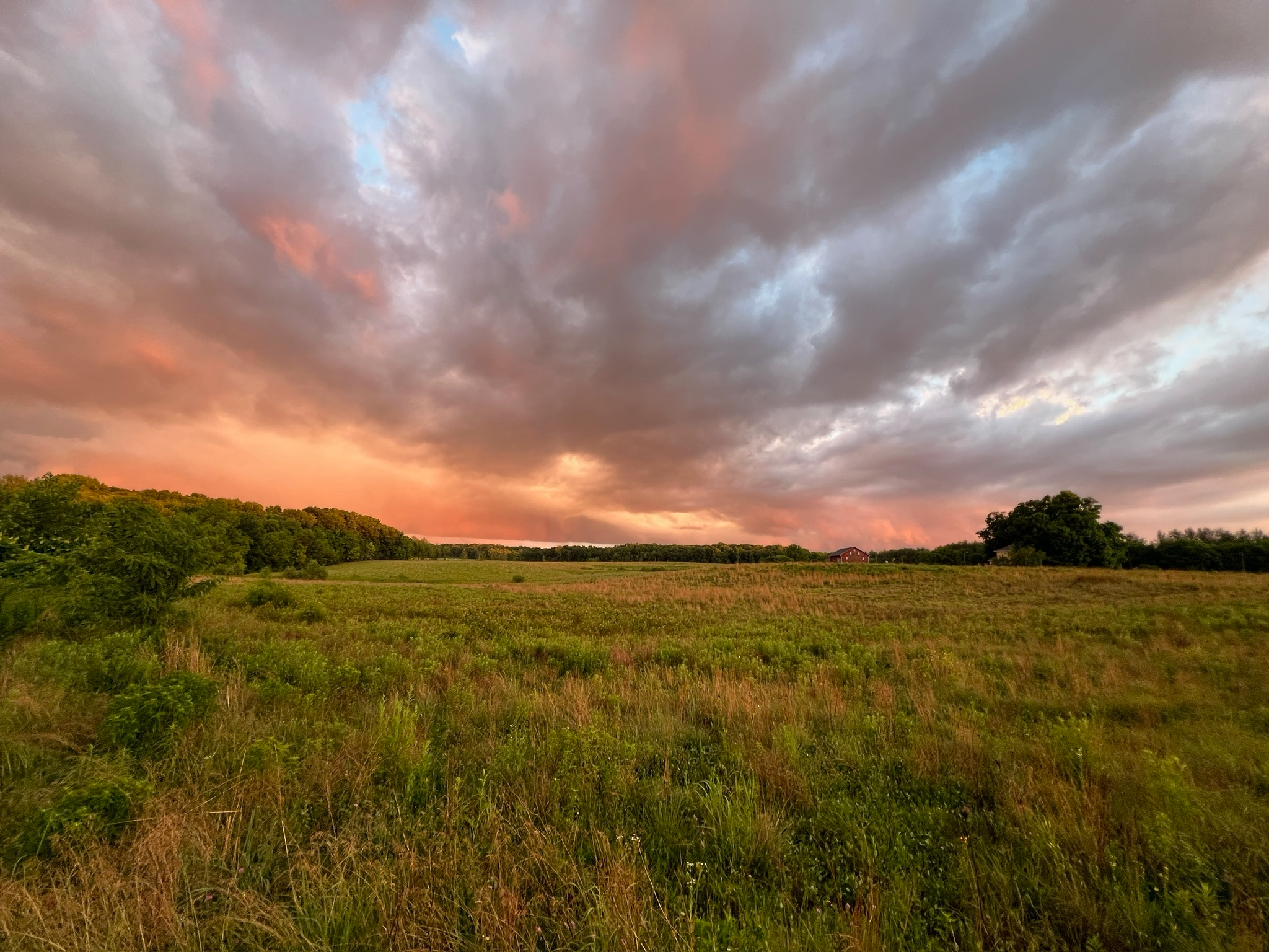 Sunset over Wildflower Field behind Hilltop Haven