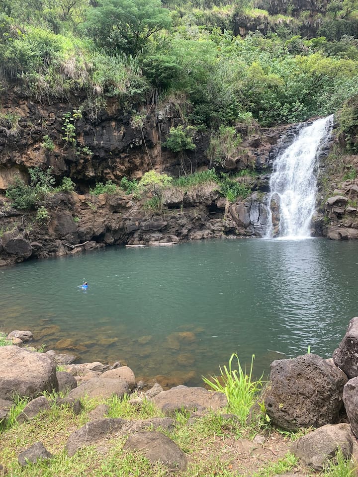 Waimea Fall, located 20 minutes from the condo. Easy to hike!