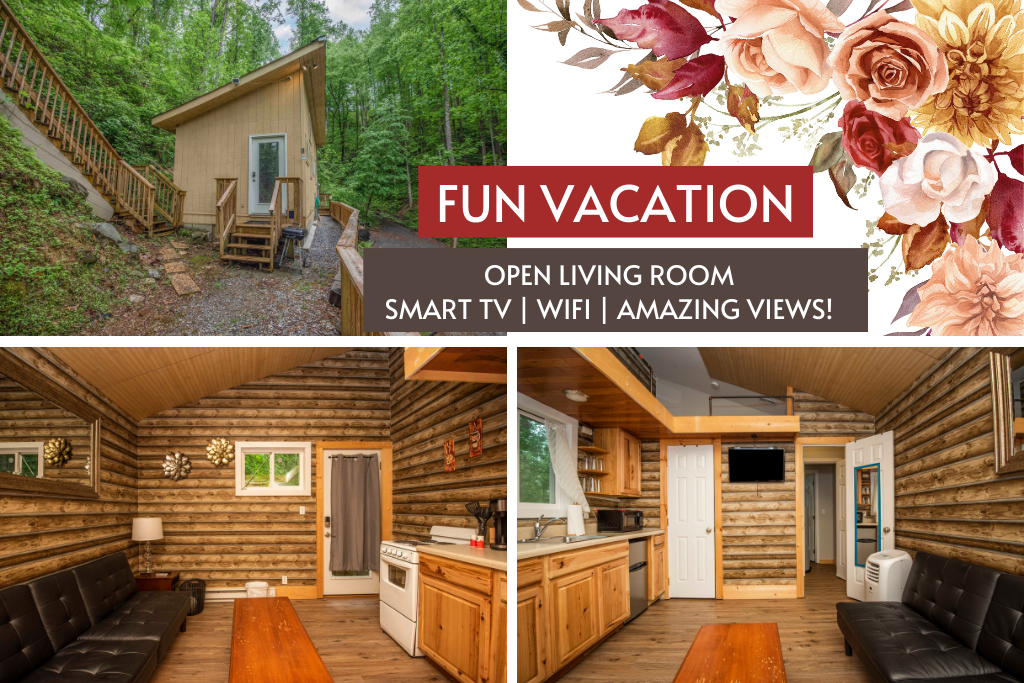 This cozy cabin features an open layout and all the essentials