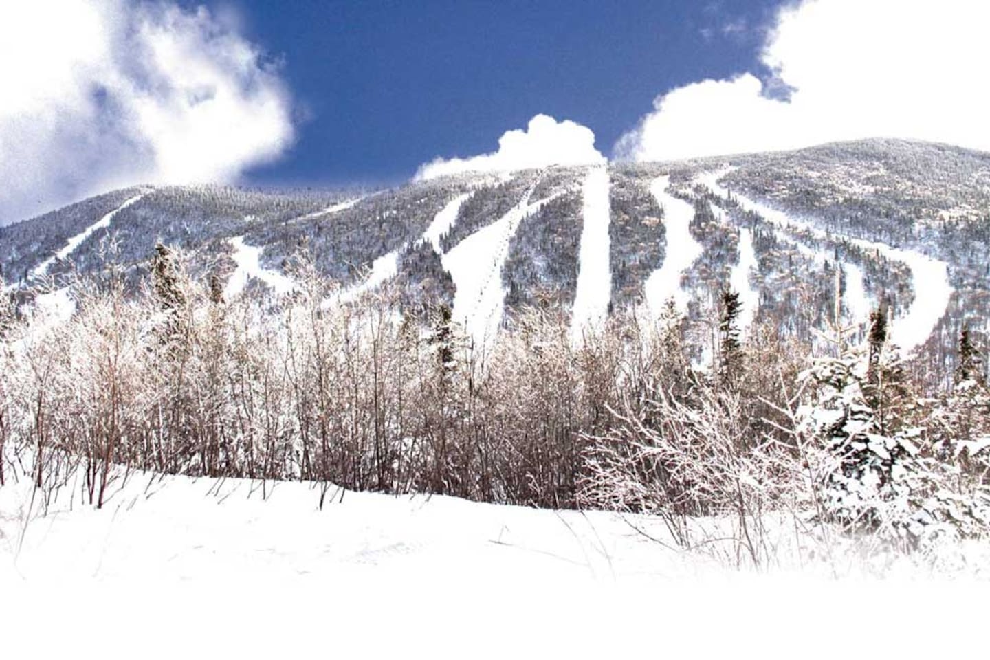 Magnifique et légendaire station de ski du Massif du Sud !