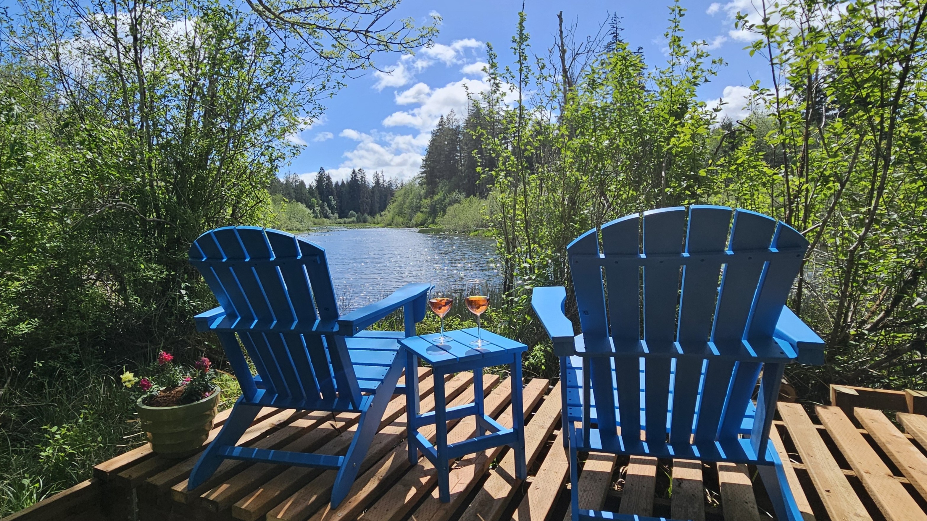 Creekside seating at the outlet of Lake Isabella - kayak into the lake, tube down the creek, or birdwatch into the evening until the beavers begin to stir.