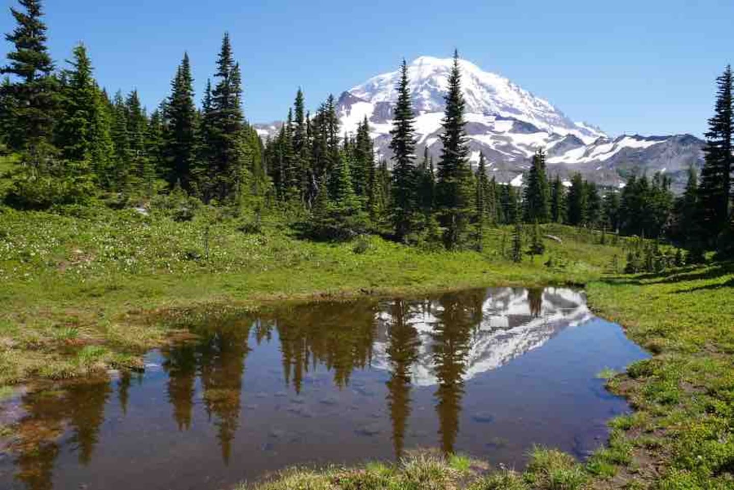 Gorgeous views at nearby Mount Rainier National Park!