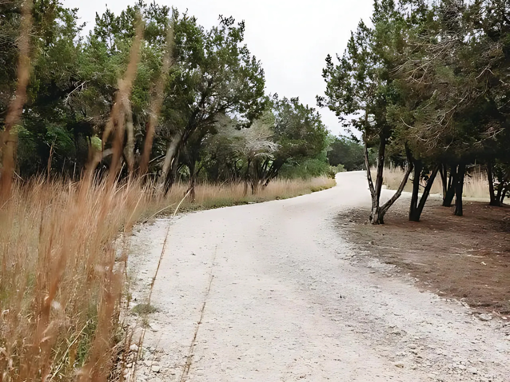 Drive from front gate