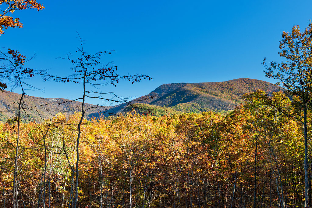 Gorgeous mountain views stretch for miles from the cabin, offering a peaceful and scenic backdrop.
